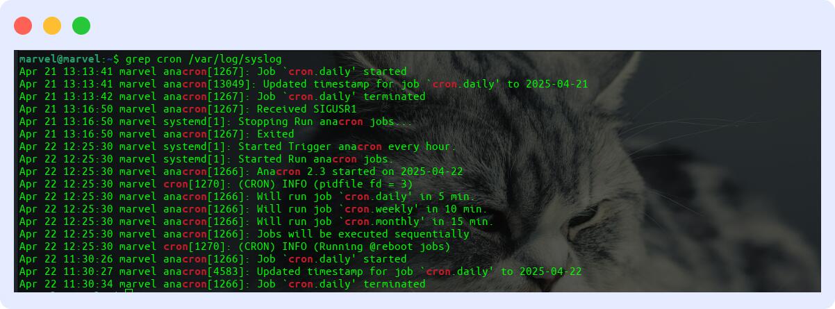Where to Find Crontab Logs