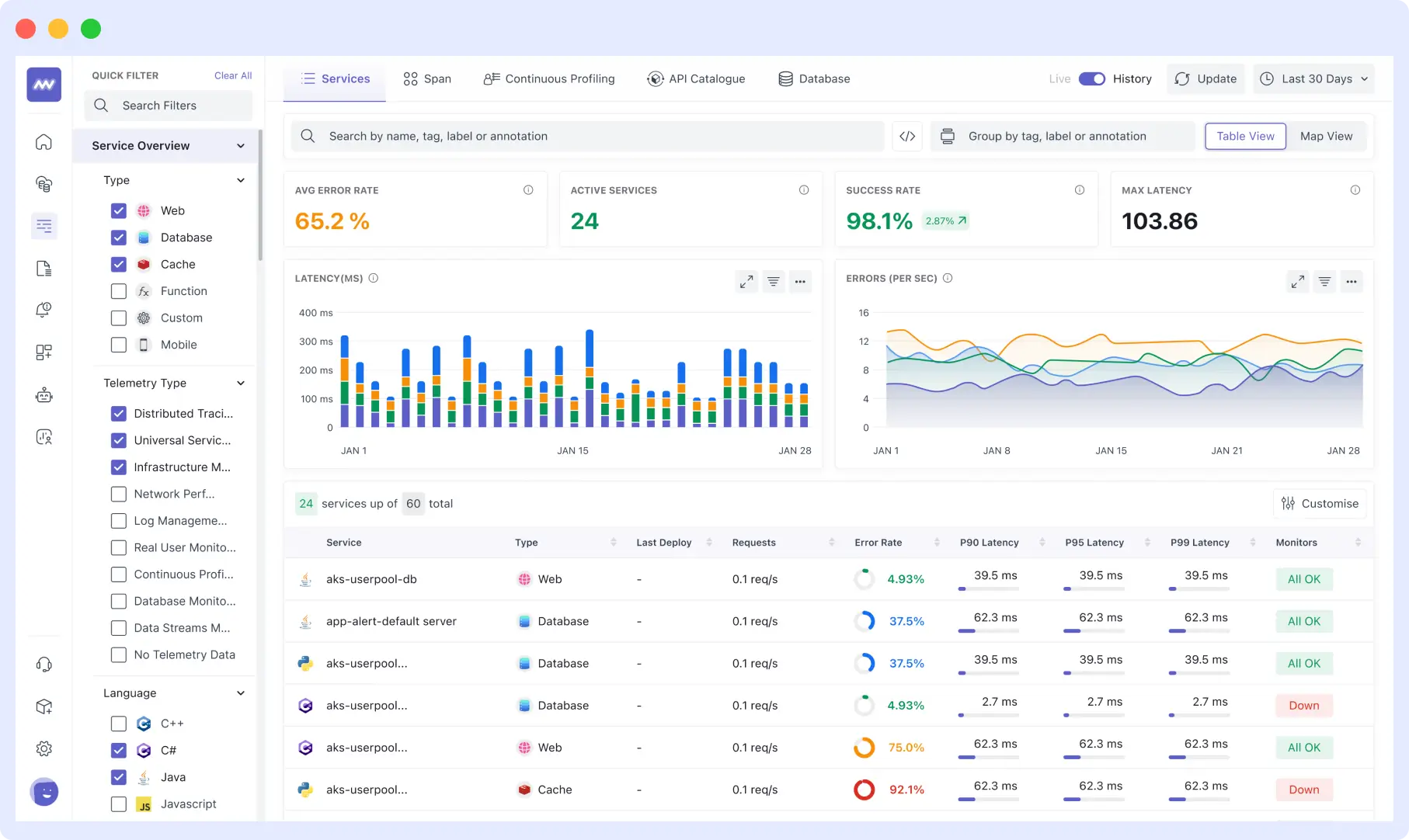 Application performance monitoring to tackle issues