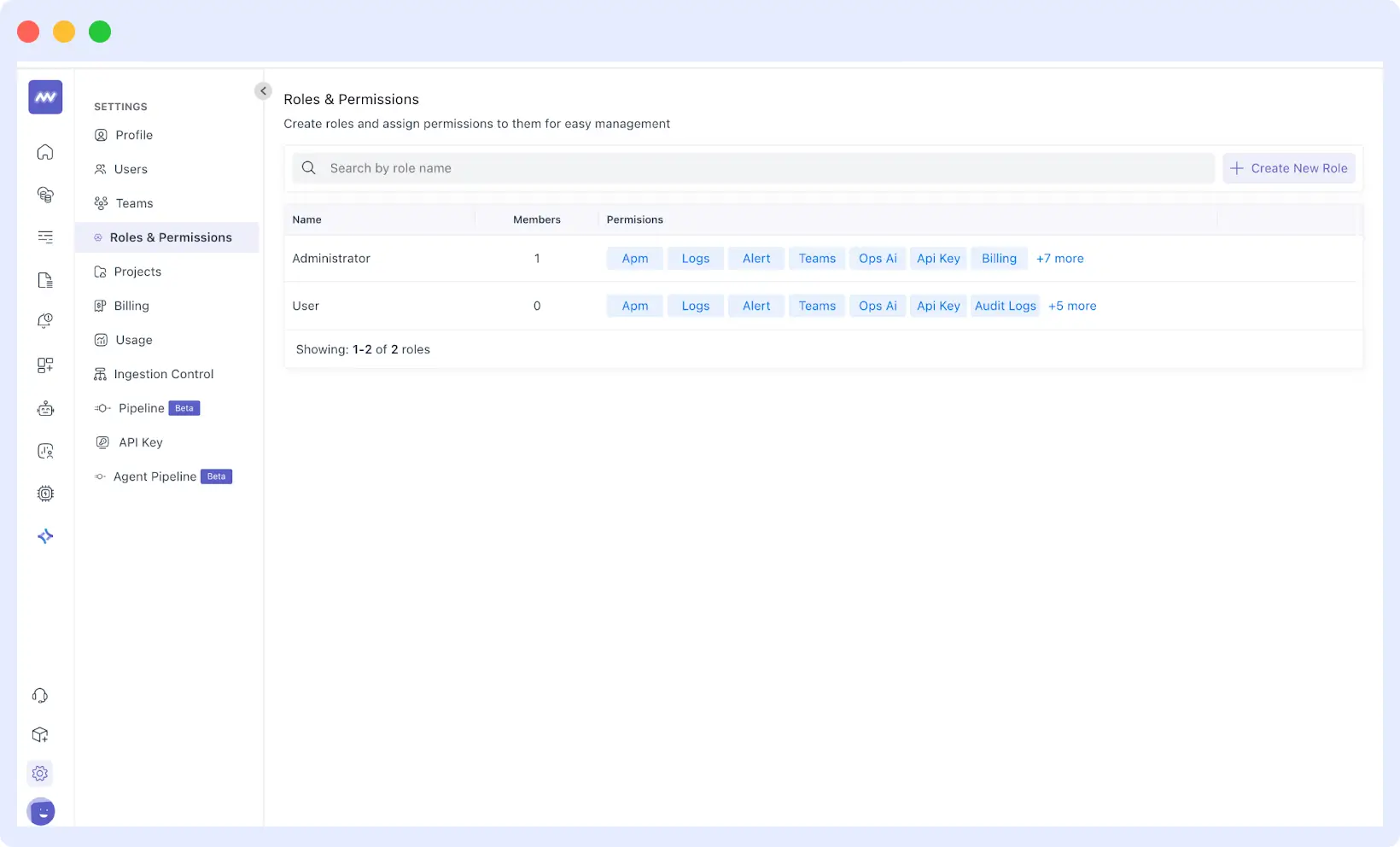 Middleware roles and permissions screen showing access controls for team members and dashboards