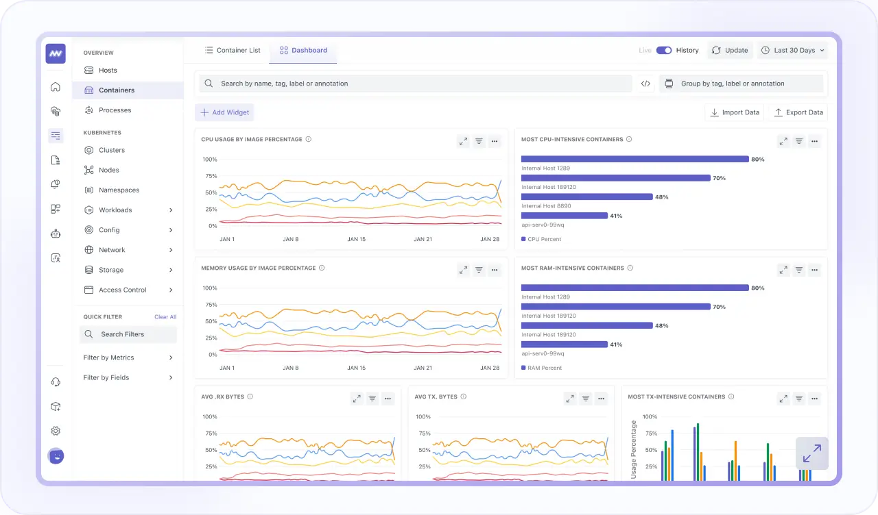 Container Monitoring