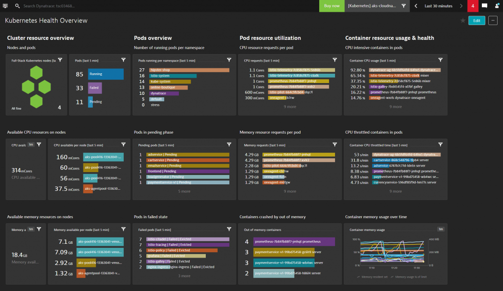 Dynatrace Kubernetes Monitoring dashboard