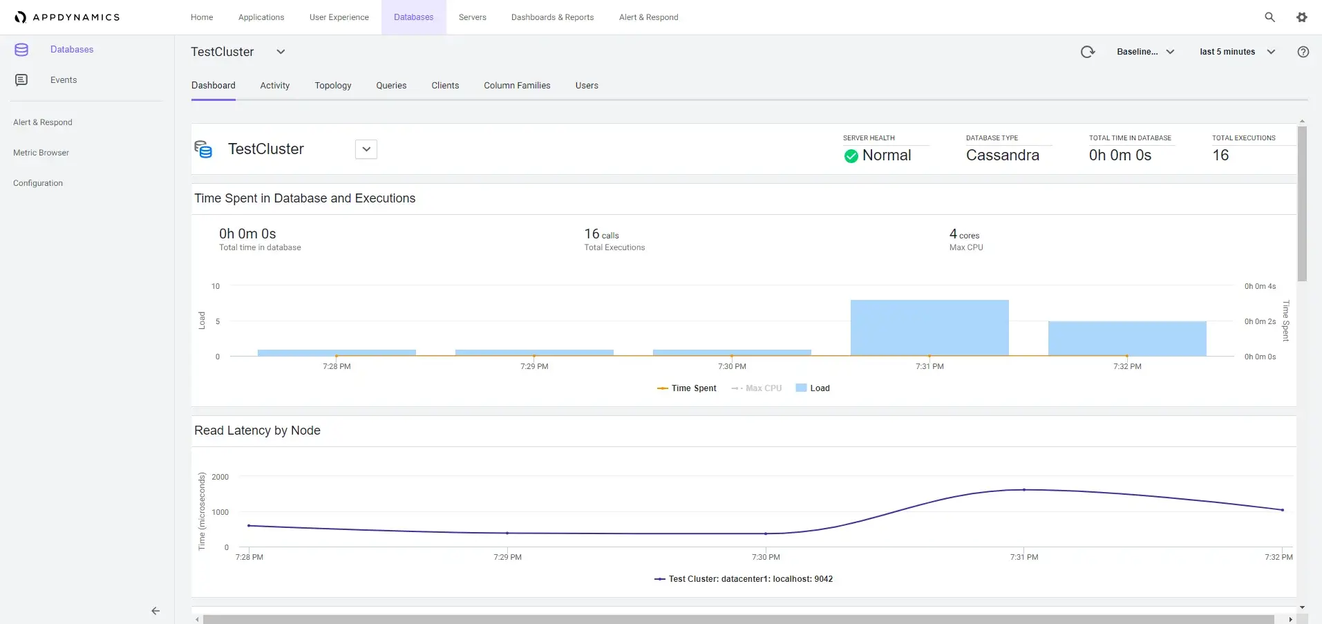 AppDynamics APM
