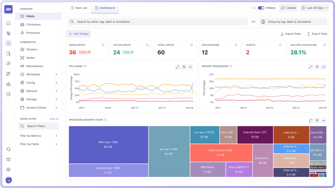 infra monitoring in middleware datadog alternative