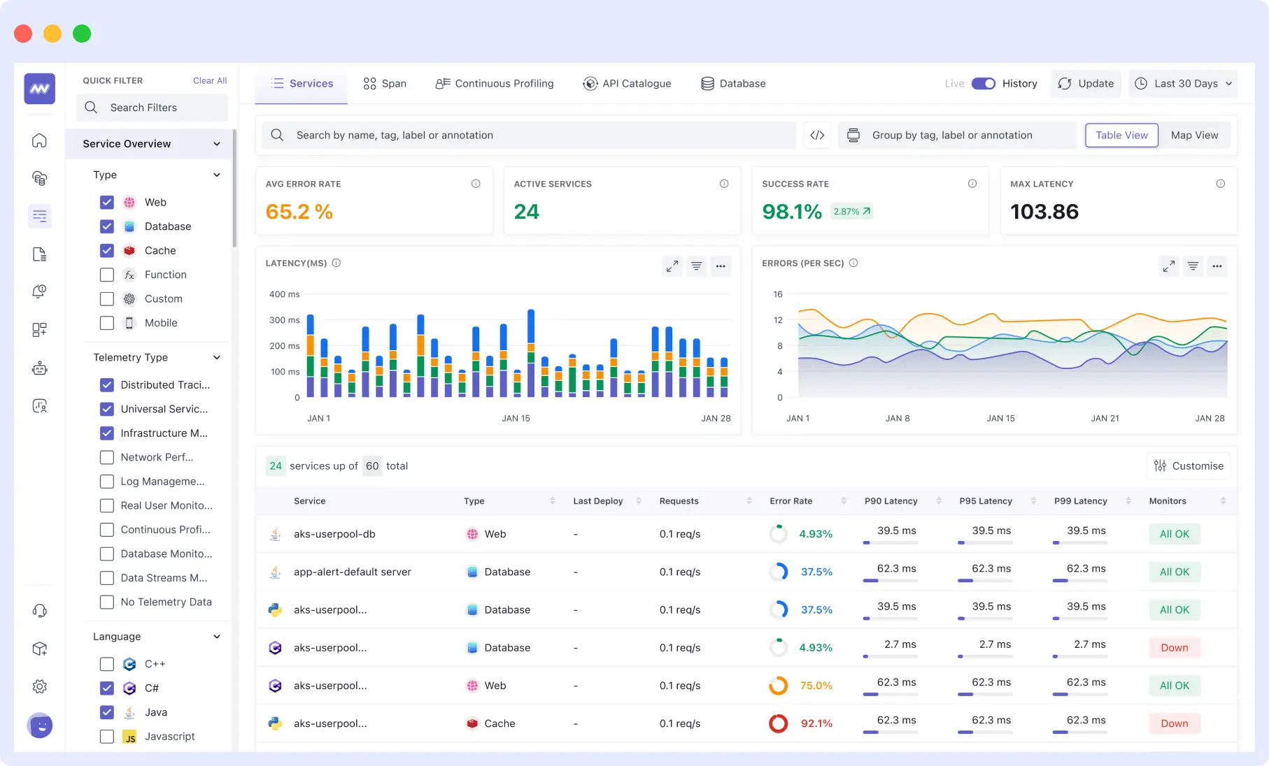 Middleware APM dashboard showing application metrics and performance insights